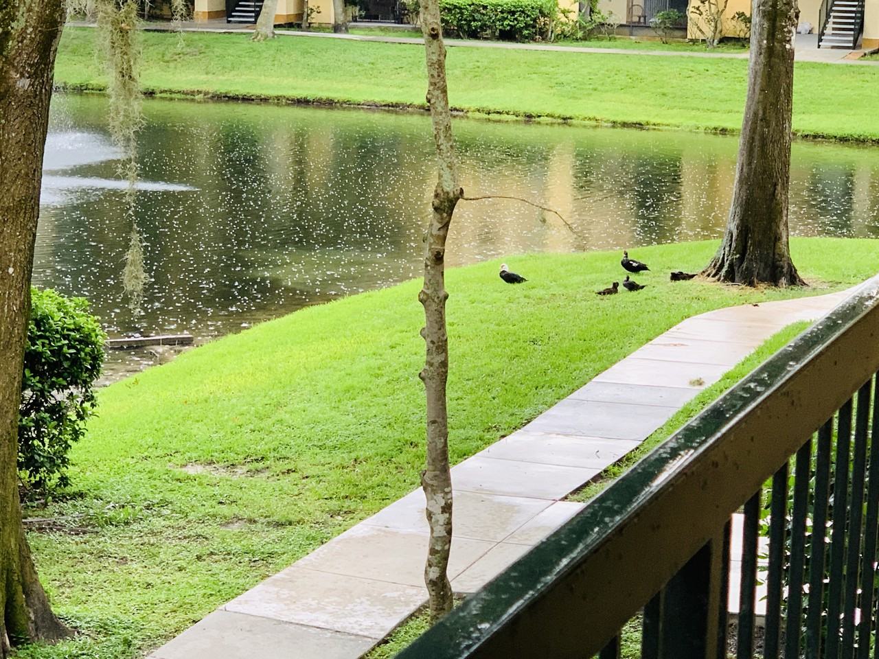 5620 Pinnacle Heights Cir #207 - Photo 5 of 11