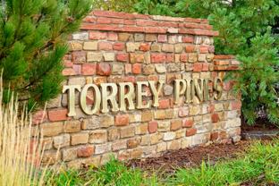 Torrey Pines - Photo 1 of 1