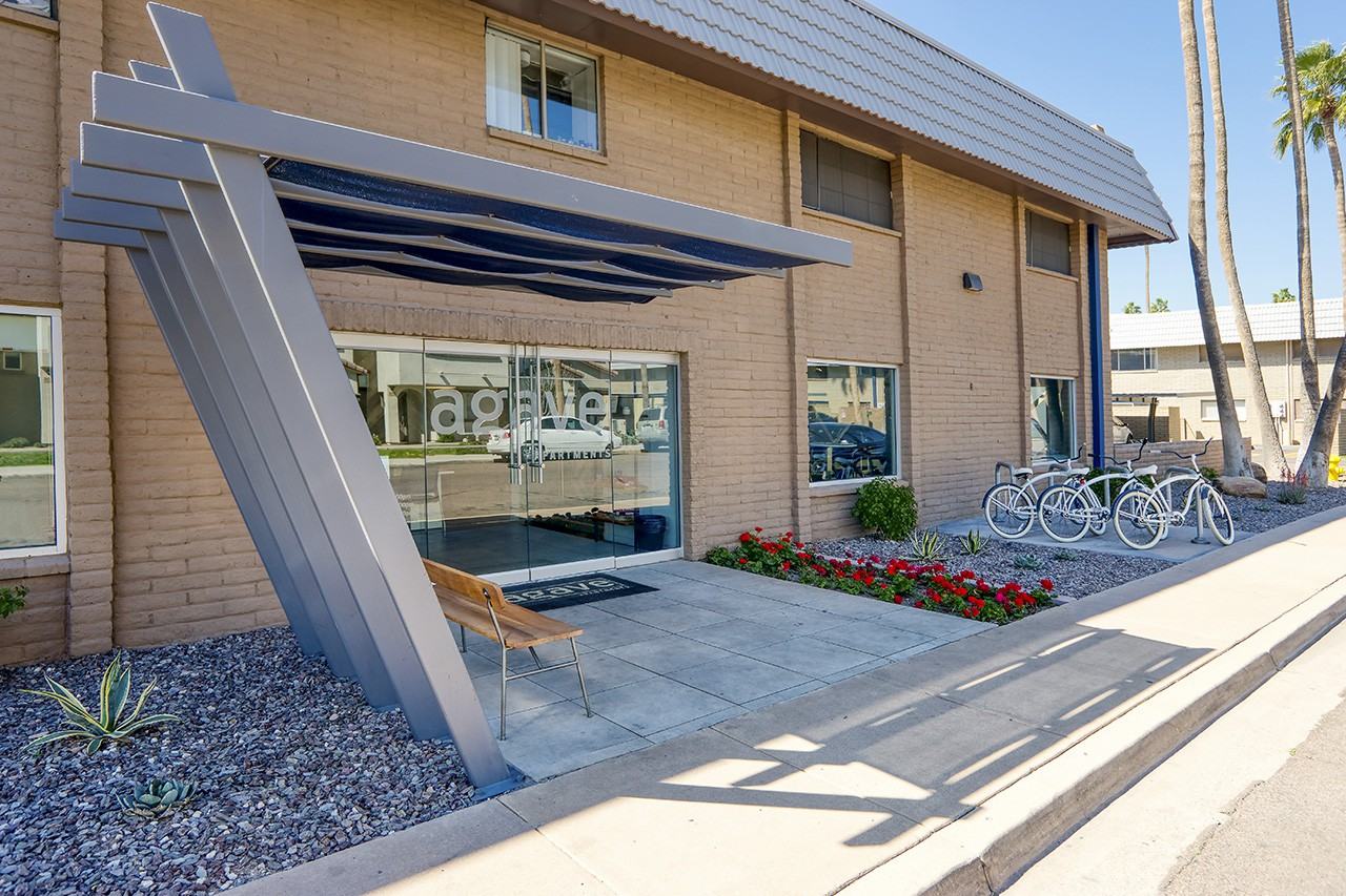 Agave - Photo 2 of 50