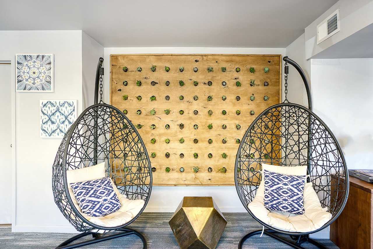 Agave - Photo 7 of 50