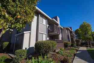 Laurel Grove - Photo 1 of 1