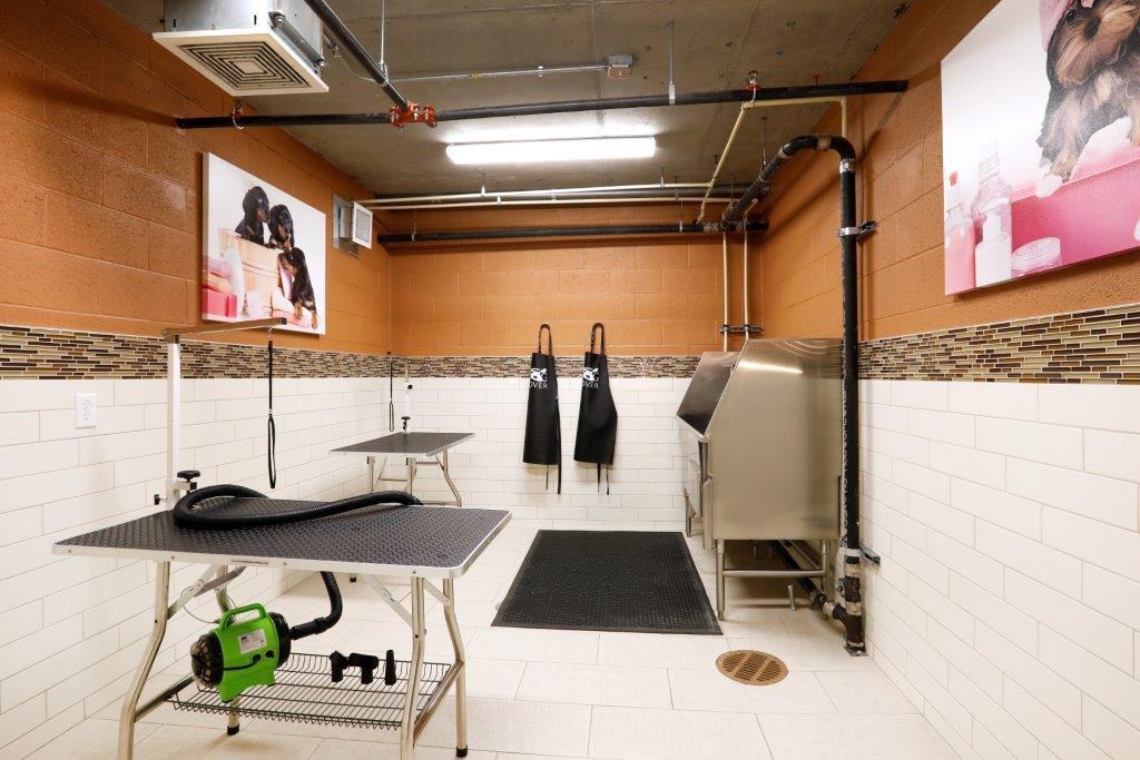 Aria - Photo 7 of 21