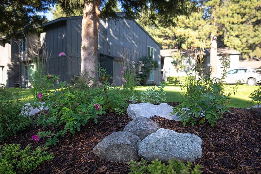 Sierra Vista - Photo 6 of 28