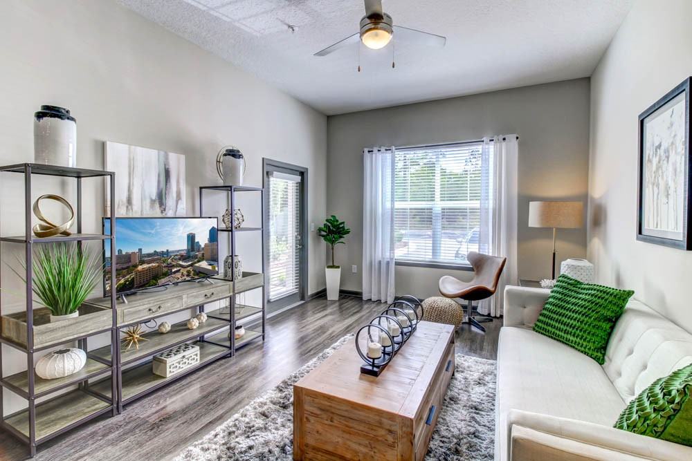 Portiva - Photo 5 of 24