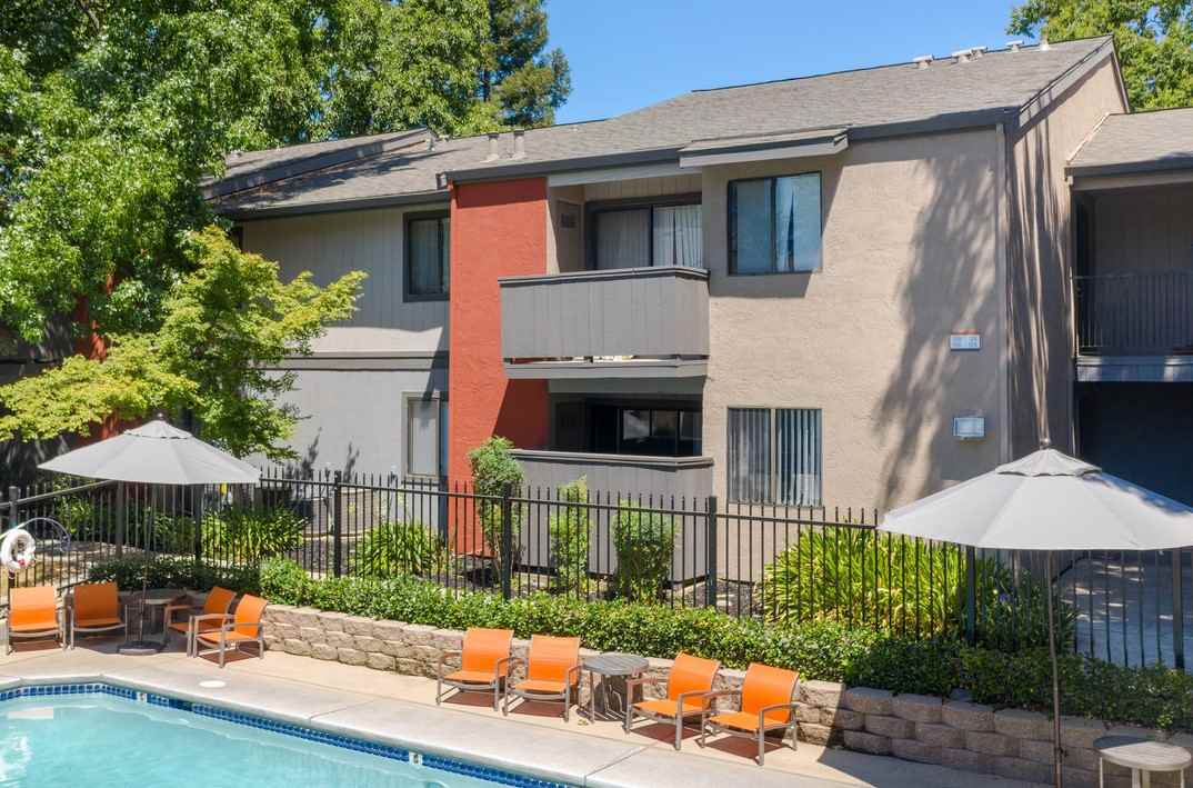 THE WOODS - Photo 3 of 22