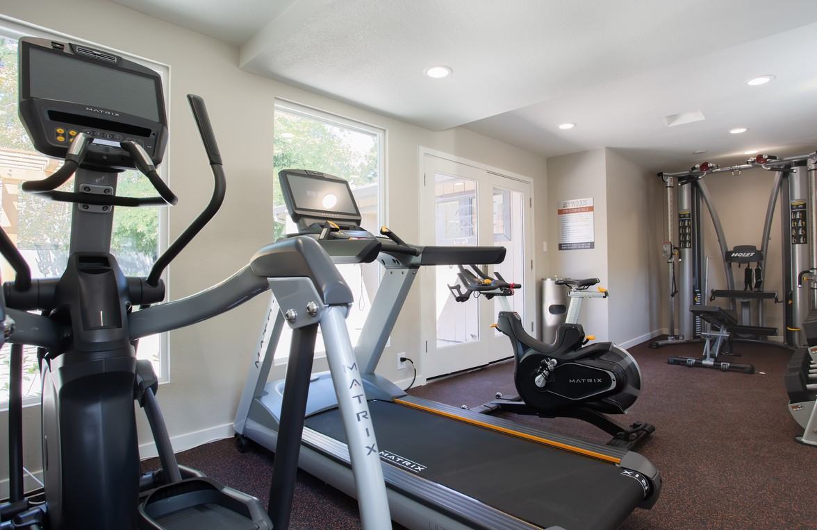 THE WOODS - Photo 5 of 22