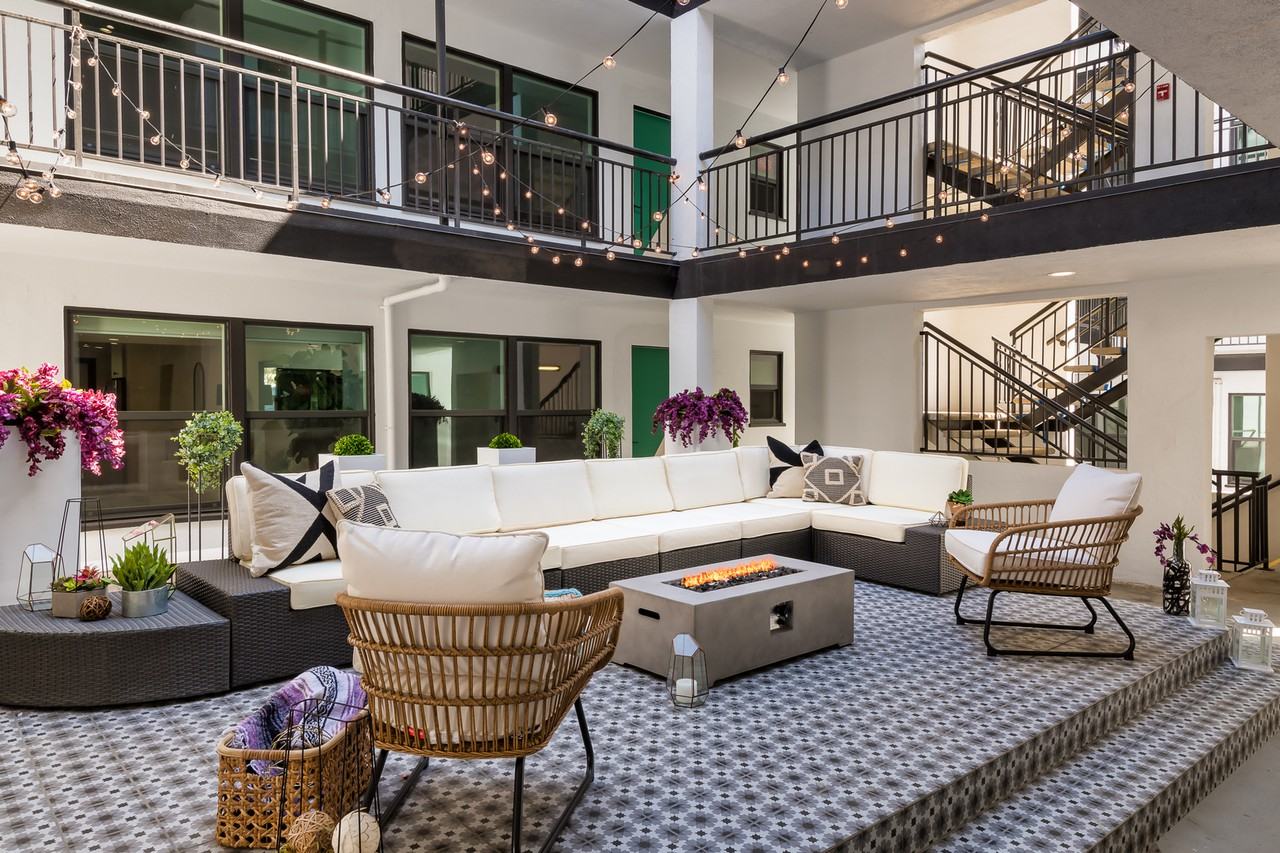 Thistle - Photo 2 of 88