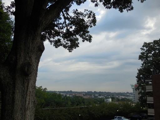 1592 N Colonial Terrace - Photo 2 of 19