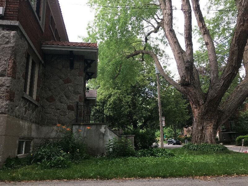 2939 Rue Fendall - Photo 2 of 8