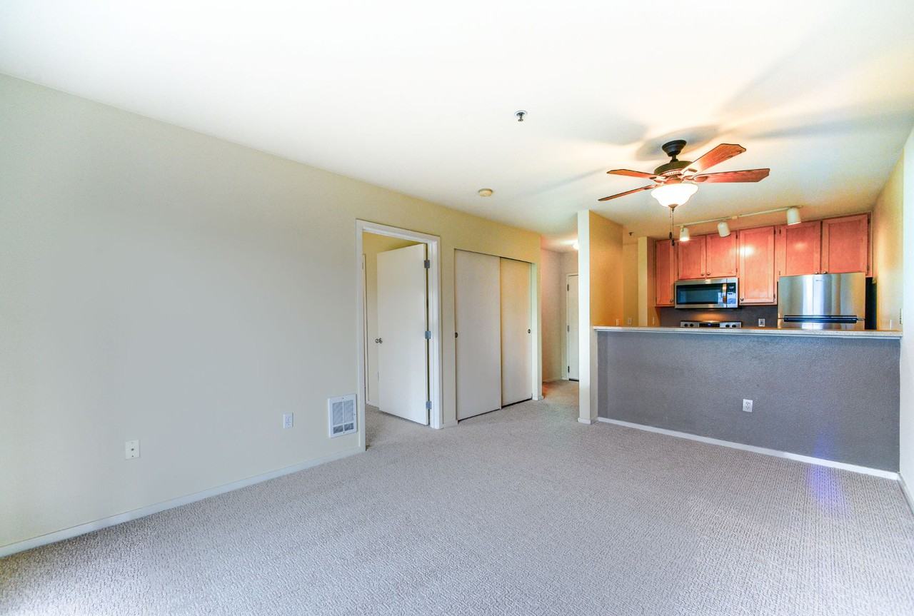 TraVigne on Eleventh Avenue - Photo 7 of 18