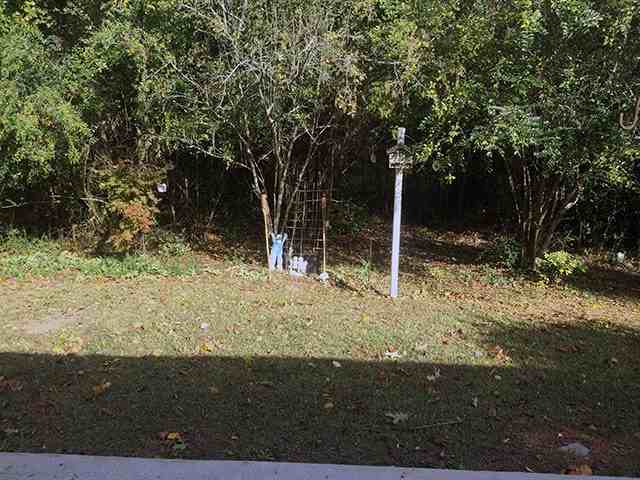 39 Emmett Freeman Rd - Photo 2 of 11