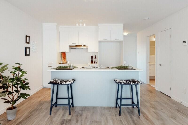 150 Rue de la Maçonnerie ##101 - Photo 2 of 10