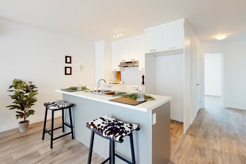 150 Rue de la Maçonnerie ##101 - Photo 3 of 10