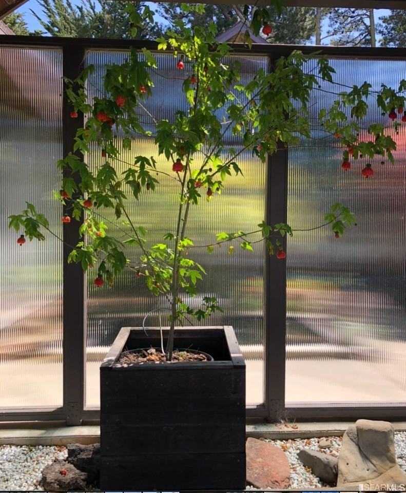 2931 Frontera Way - Photo 3 of 36