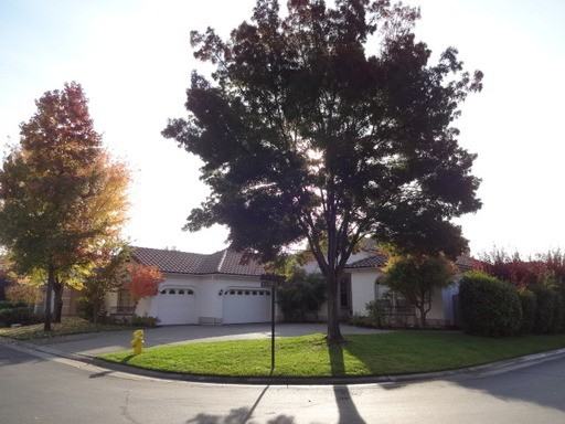 2006 Blackheath Ln - Photo 3 of 5