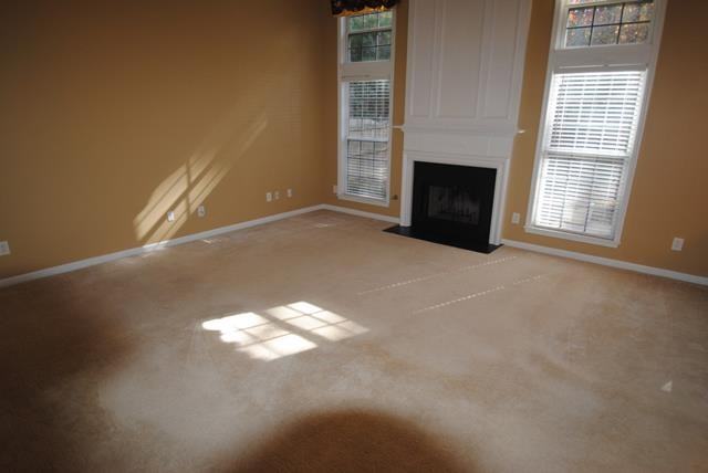 665 Alstonefield Dr - Photo 3 of 11