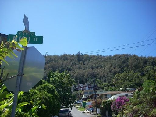 2824 Nihi St #2 - Photo 2 of 10