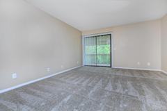 Belle Forest at Memorial - Photo 1 of 1