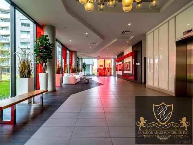 4239 Rue Jean-Talon Ouest #705 - Photo 2 of 18