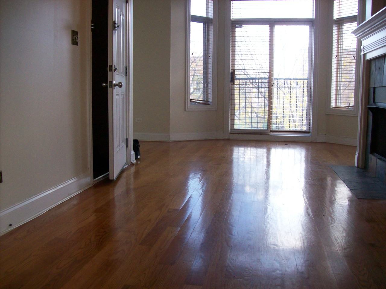 4222 South Indiana Avenue #1 - Photo 4 of 32