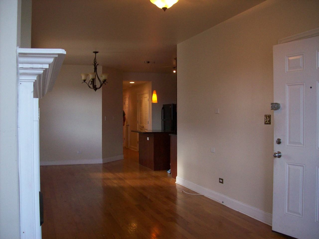 4222 South Indiana Avenue #1 - Photo 6 of 32