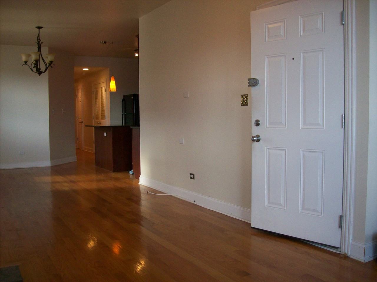 4222 South Indiana Avenue #1 - Photo 7 of 32