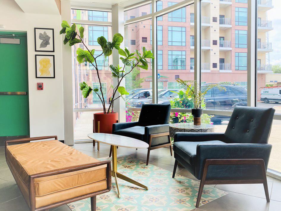 Studio One Apartments - Photo 3 of 16