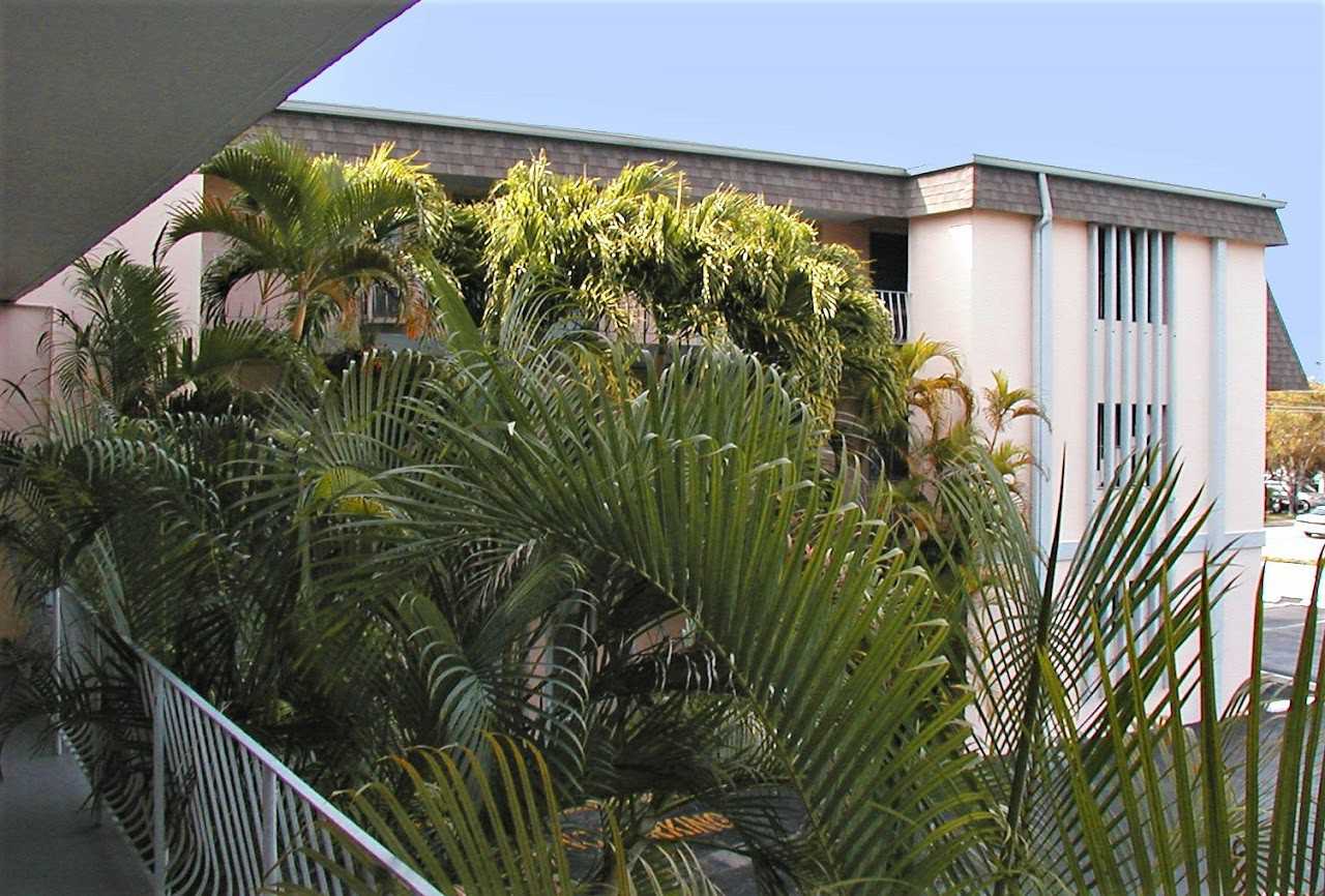 Palm Plaza - Photo 2 of 2