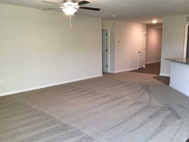 7116 Brittany Pointer Ct - Photo 3 of 20