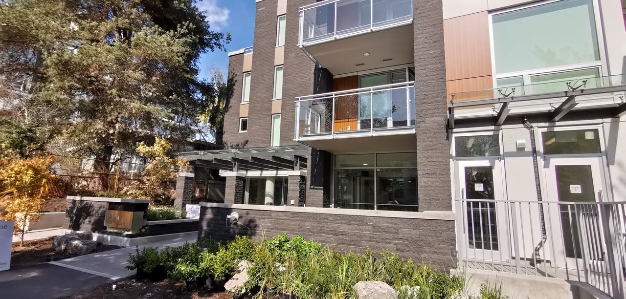 5058 Cambie Street #209 - Photo 4 of 24