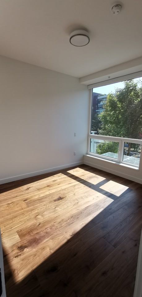 5058 Cambie Street #209 - Photo 5 of 24
