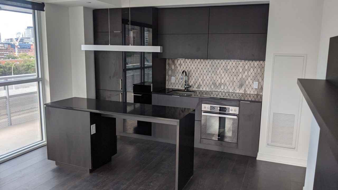 15 Lower Jarvis Street #513