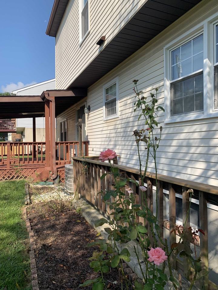 1 Dawn Day Ct - Photo 3 of 20