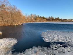 29 Wildwood Avenue - Photo 3 of 9