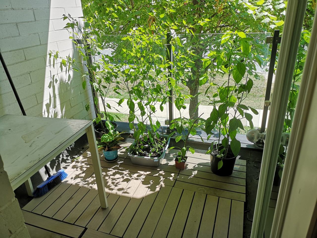 142 Widdicombe Hill Boulevard - Photo 2 of 10