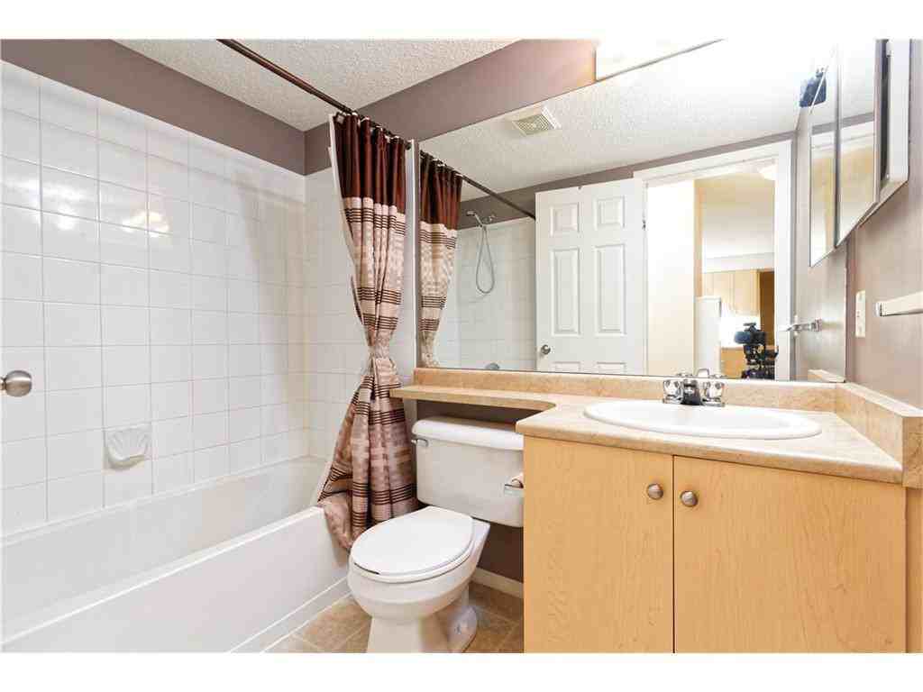1717 60 Street Southeast #211 - Photo 4 of 14