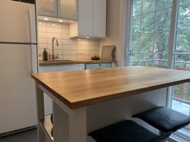 featured image of Rue Coughtry & Rue Cardinal