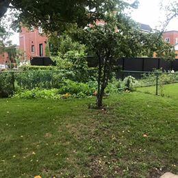 5271 Boulevard Cavendish - Photo 3 of 5