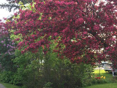 53 Washington Ave - Photo 3 of 12