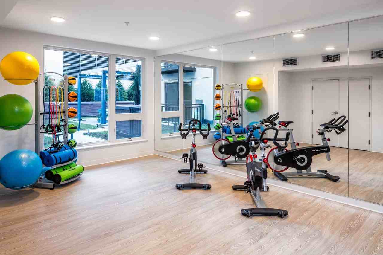 Ceylon - Photo 5 of 32