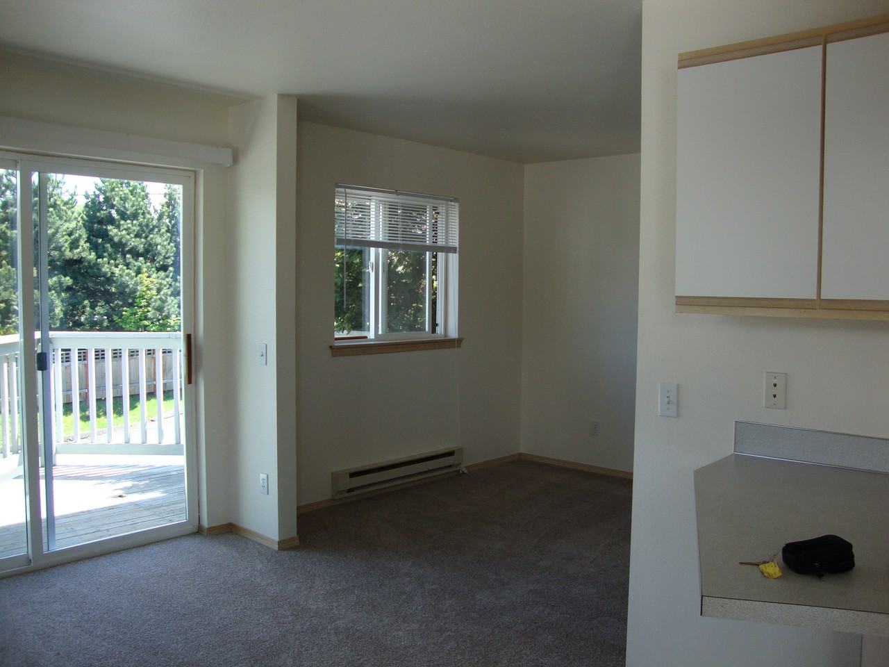 3163 Studio Lane #24 - Photo 3 of 3