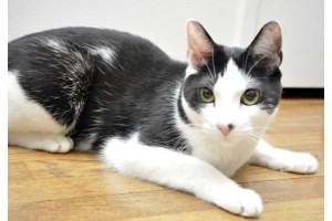 Kuser Village - Photo 2 of 45