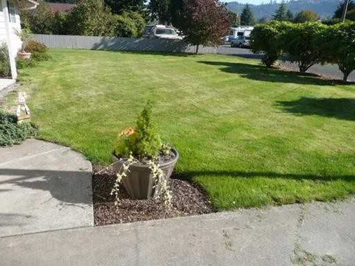 2037 Rhododendron Dr - Photo 2 of 14