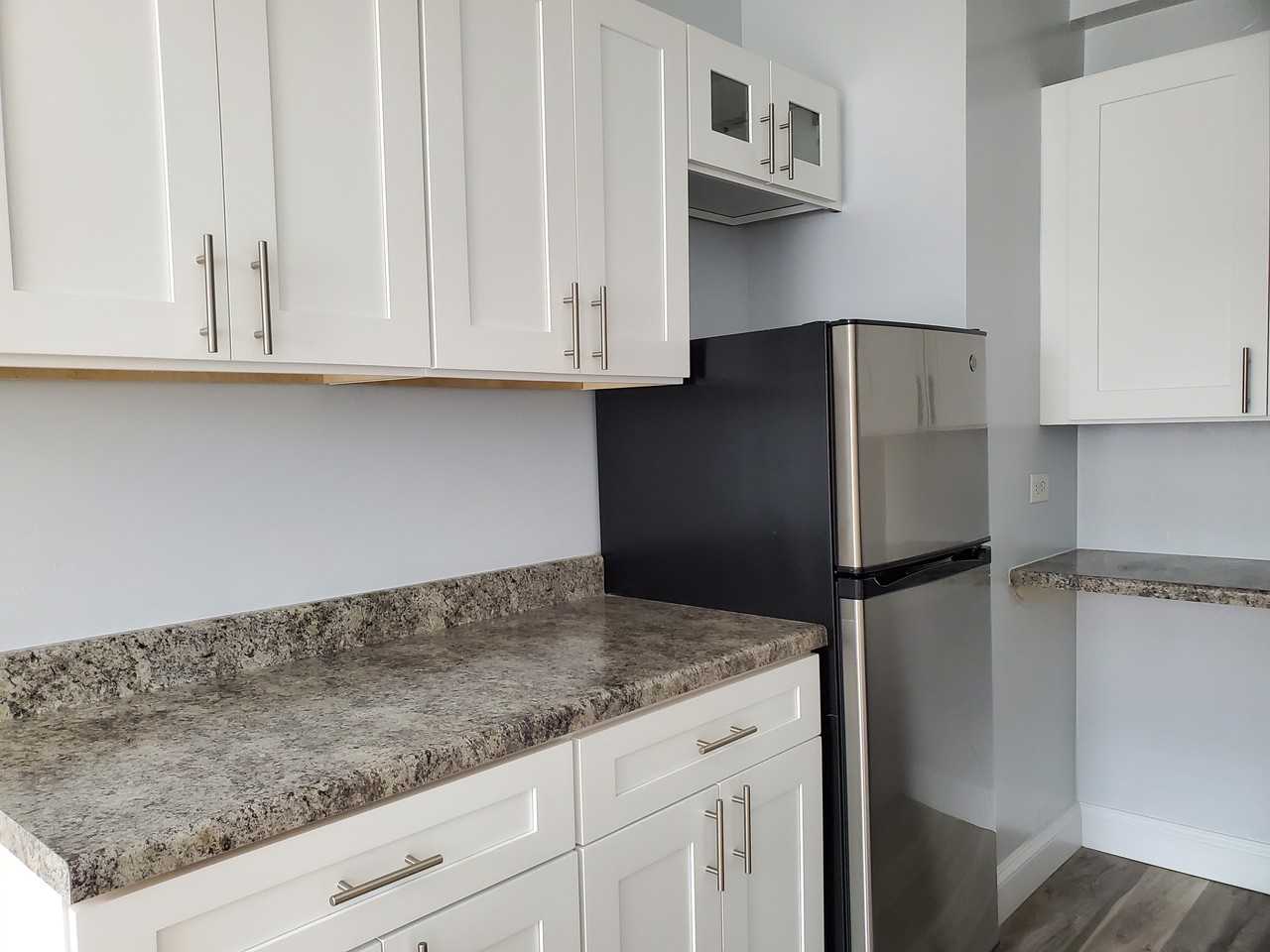 1100 N Dearborn - Photo 2 of 24