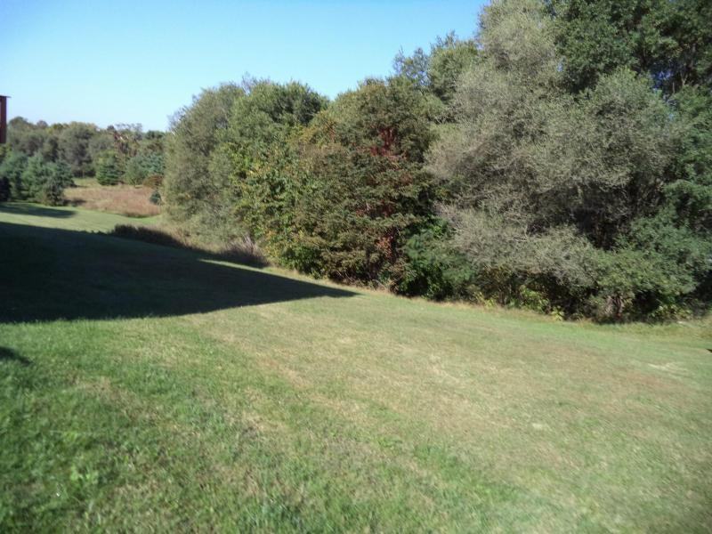 4676 Afton Ln - Photo 3 of 47