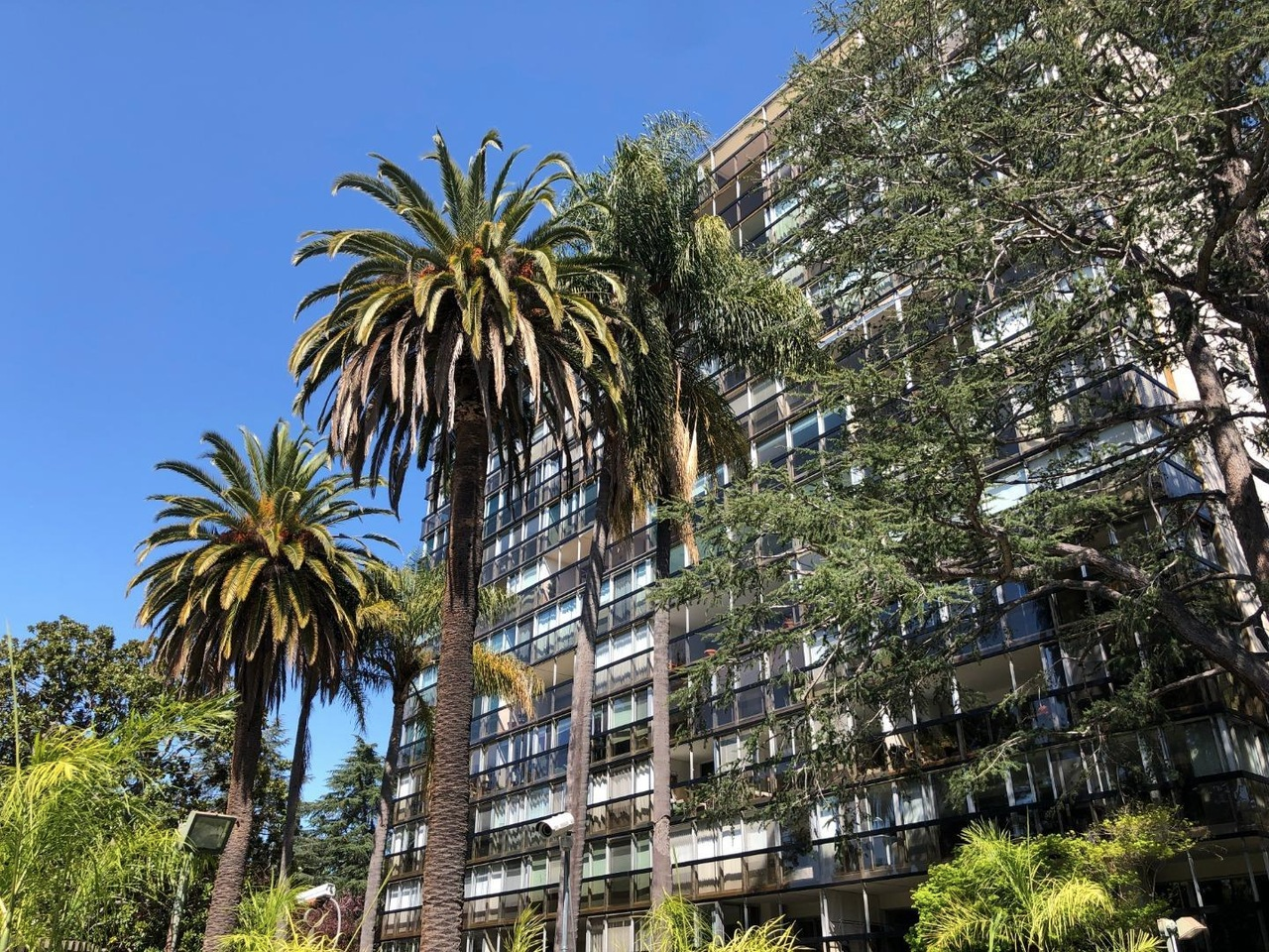 101 Alma St #606
