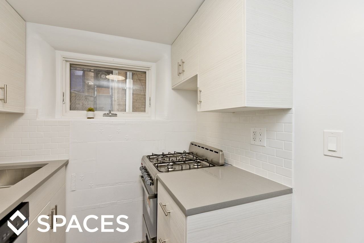 163 W Schiller - Photo 2 of 13