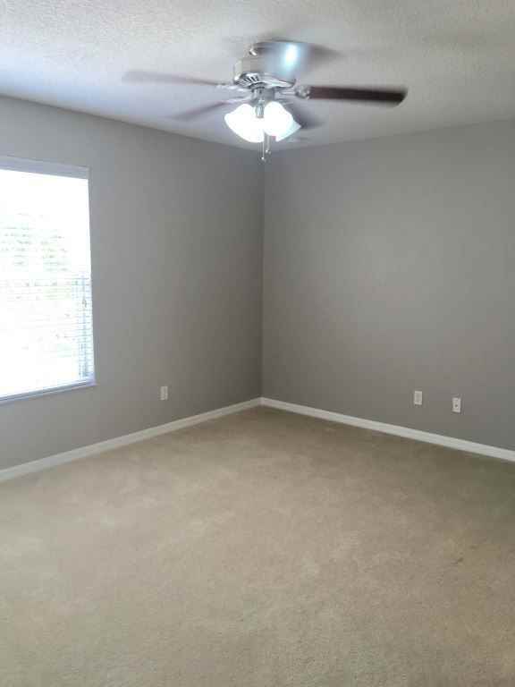 280 Winding Vine Ln - Photo 3 of 9