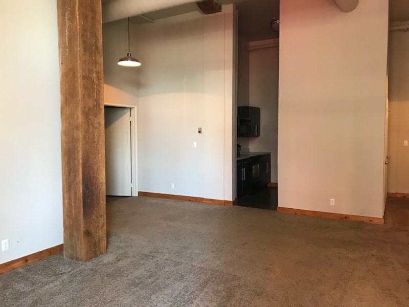 213 Delaware Street #102