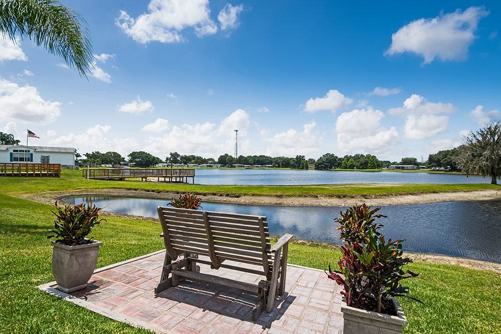 34651 Robins Song Rd - Photo 3 of 17